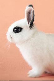 在末日将至社区挑战中赚取合计 1000 亿 GTA 游戏币，以获得奖励